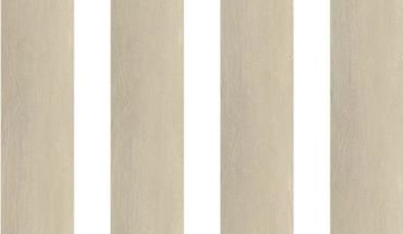 Rigid SPC Flooring in wood plank design flooring tile.