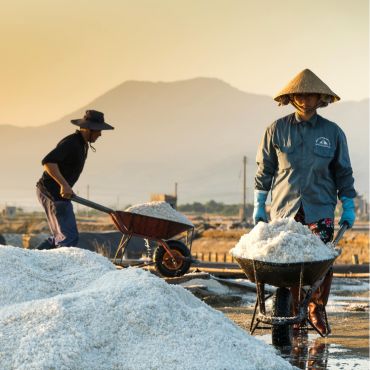 Farmers using heavy duty wheelbarrow.