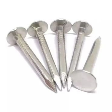 Galvanized roofing nails in five pieces.