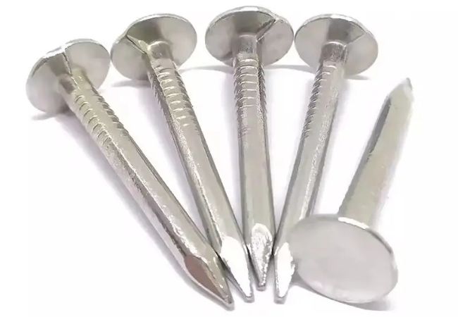 Galvanized roofing nails samples.