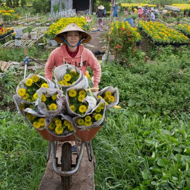 Gardener carrying flowers on the heavy duty wheelbarrow.