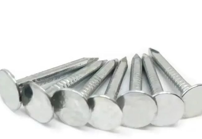 Large head roofing nails sample.