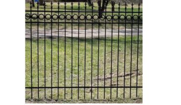 Picket spear design top garden fence.