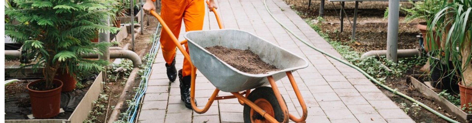 Wheelbarrow handled by a gardener.