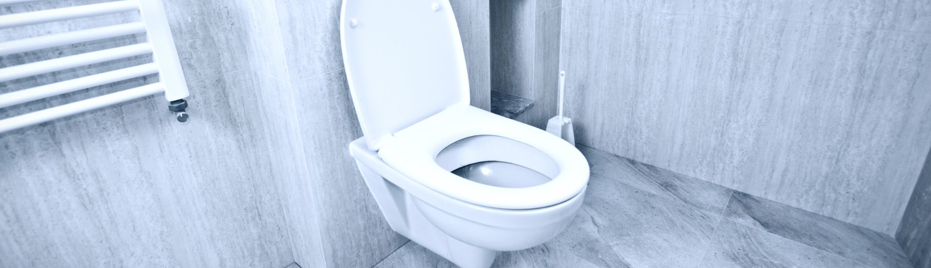 Bathroom with hanging toilet.