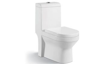 Ceramic one piece toilet sample.