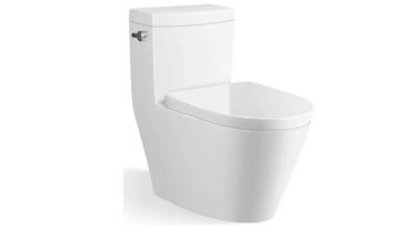 Floor mounted single piece toilet modern design.