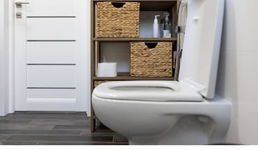 Residential home toilet in stylish bathroom.