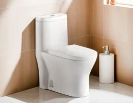 Toilet in minimalist bathroom.