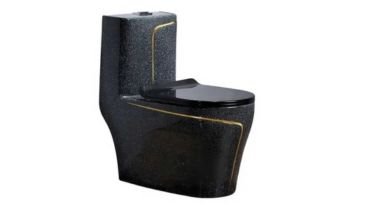Top style two piece flush ceramic toilet.