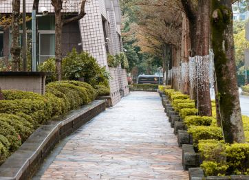 Walkway with natural stone flooring.